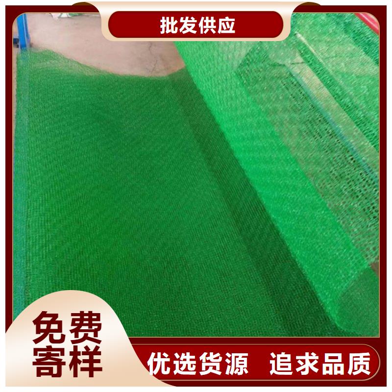 三维植被网-EM4三维护坡植草网垫