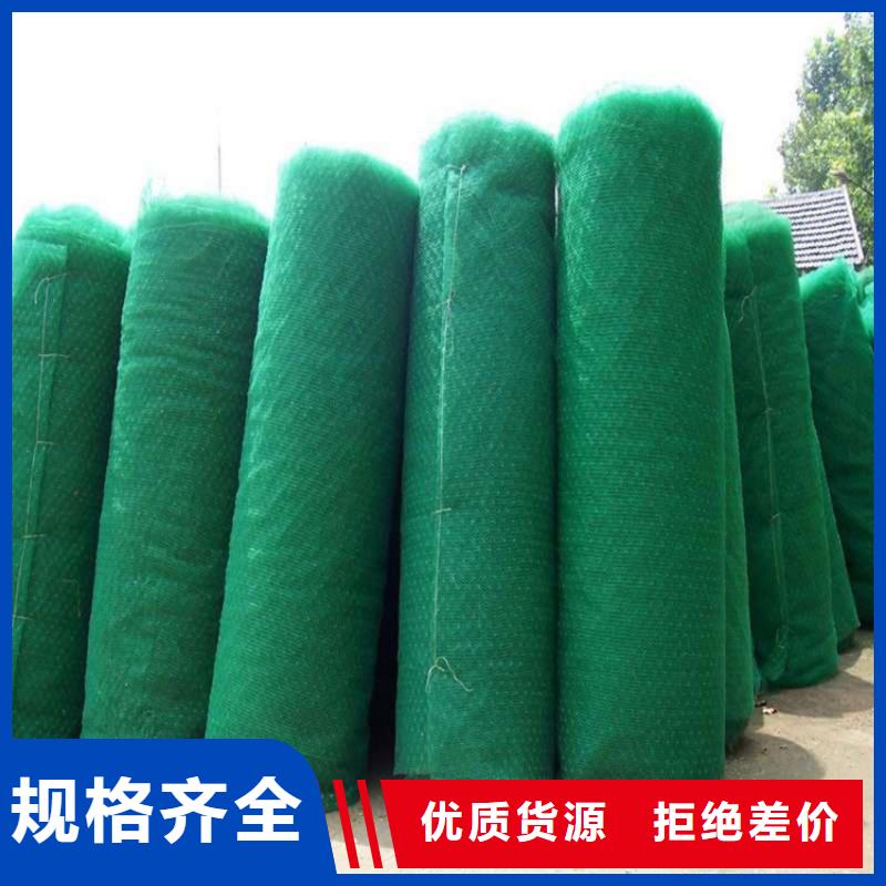 三维土工网垫-EM4三维固土网垫