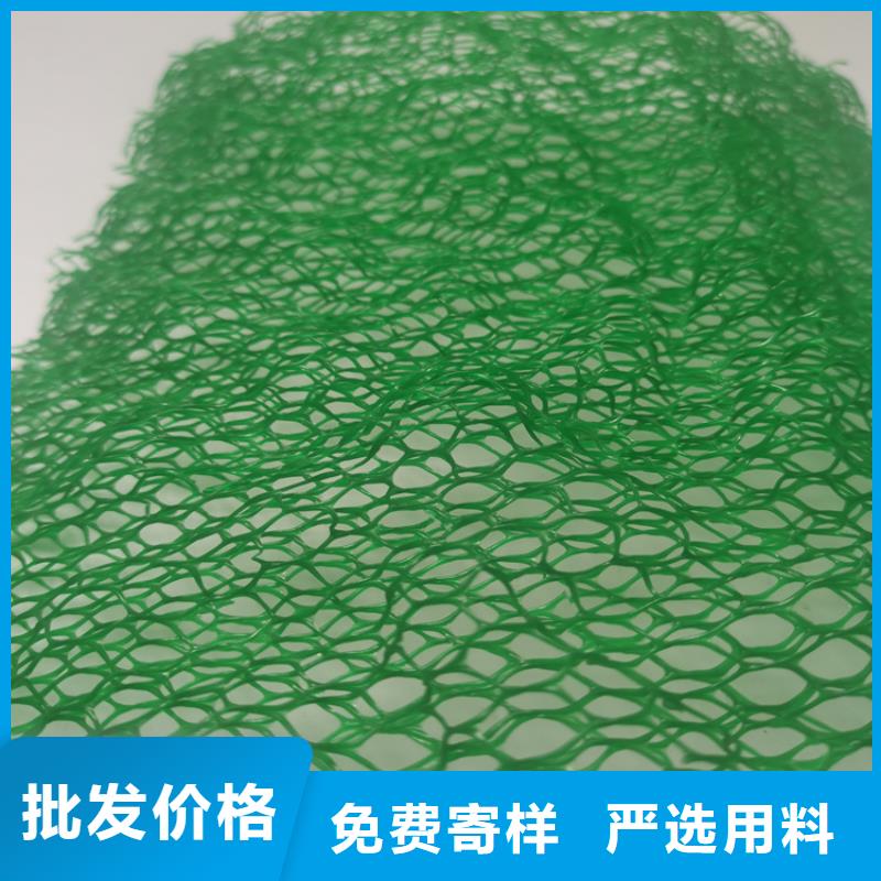 三维土工网垫-三维土工网垫