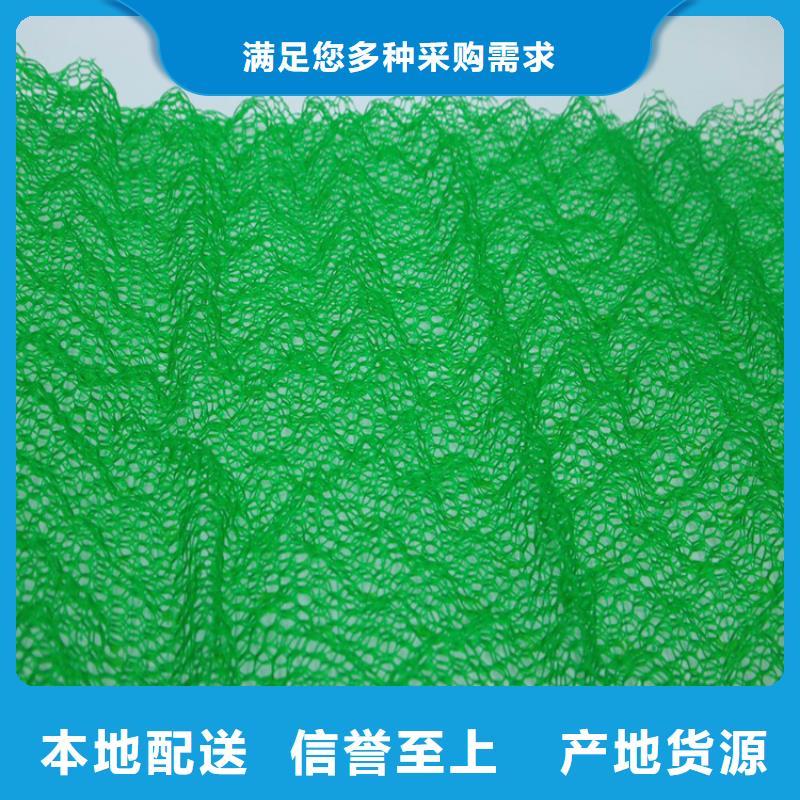 购买(鼎诺)三维固土网垫EM3三维植被网