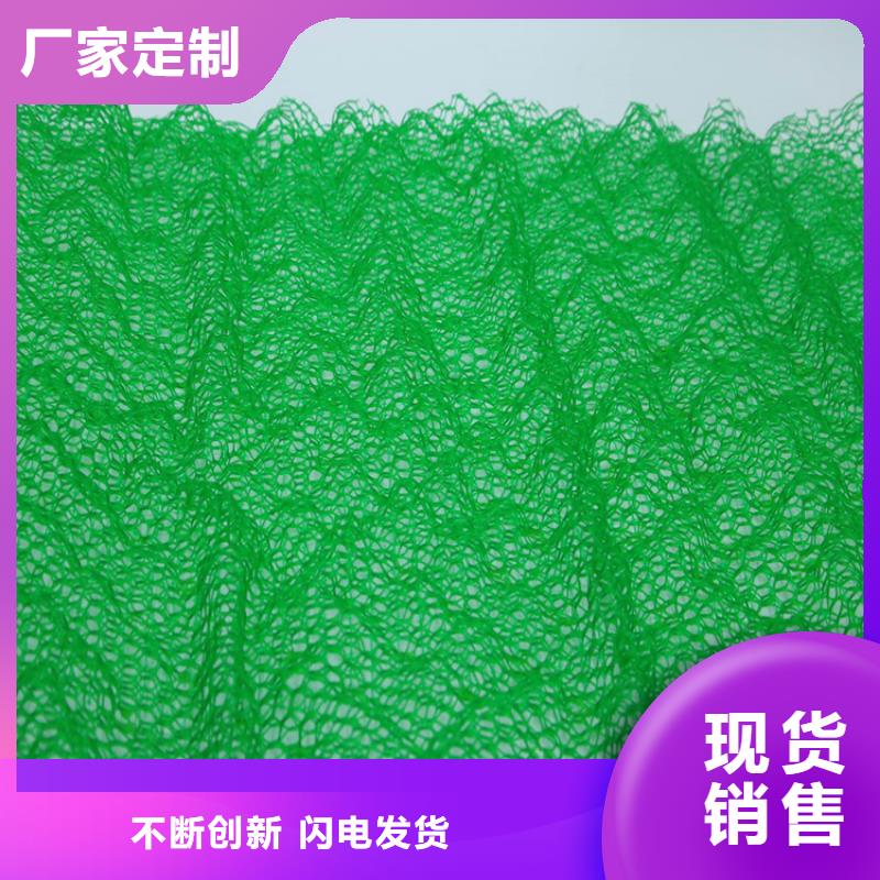 采购《鼎诺》三维植被网通风降噪丝网匠心品质