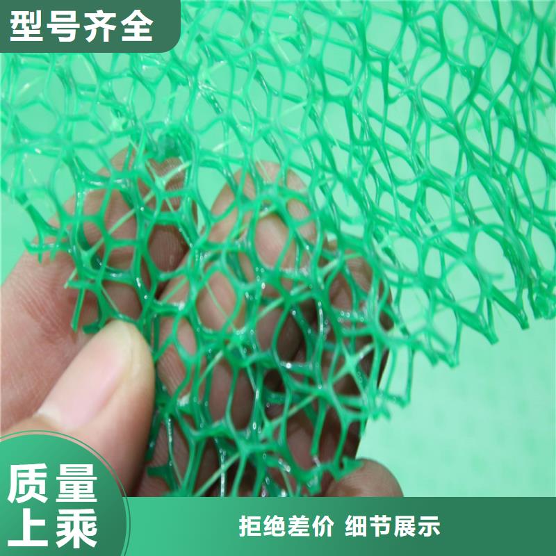 三维植被网-EM4三维固土网垫
