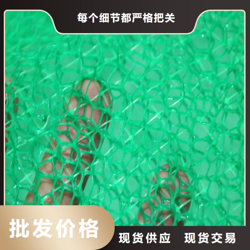 采购《鼎诺》三维植被网通风降噪丝网匠心品质