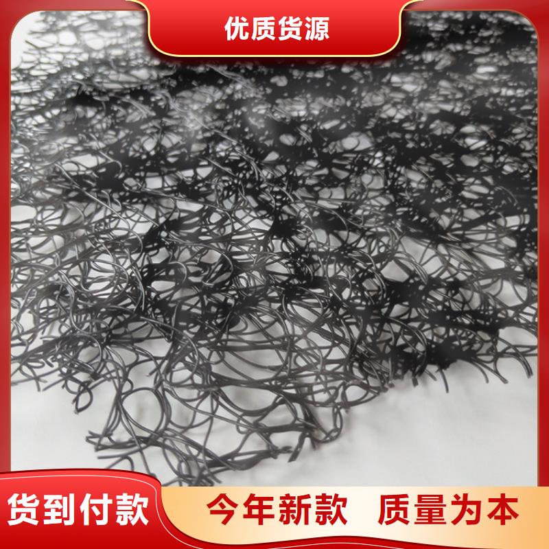 通风降噪丝网钢塑土工格栅直销厂家