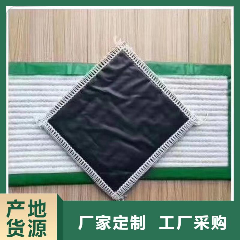 膨润土防水毯_土工格室卓越品质保障