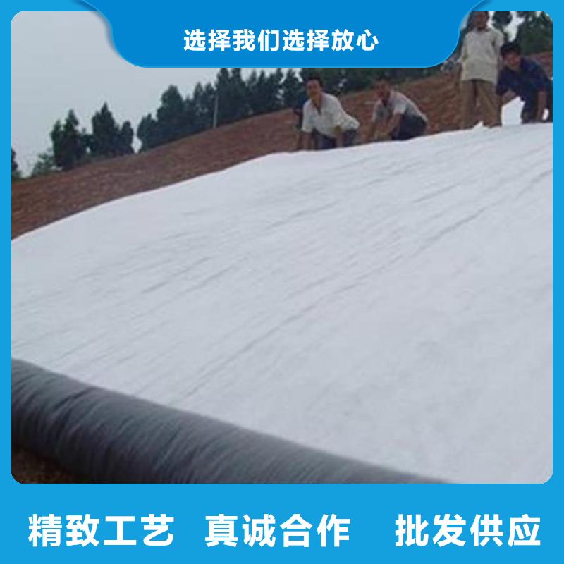 膨润土防水毯_三维植被网本地配送