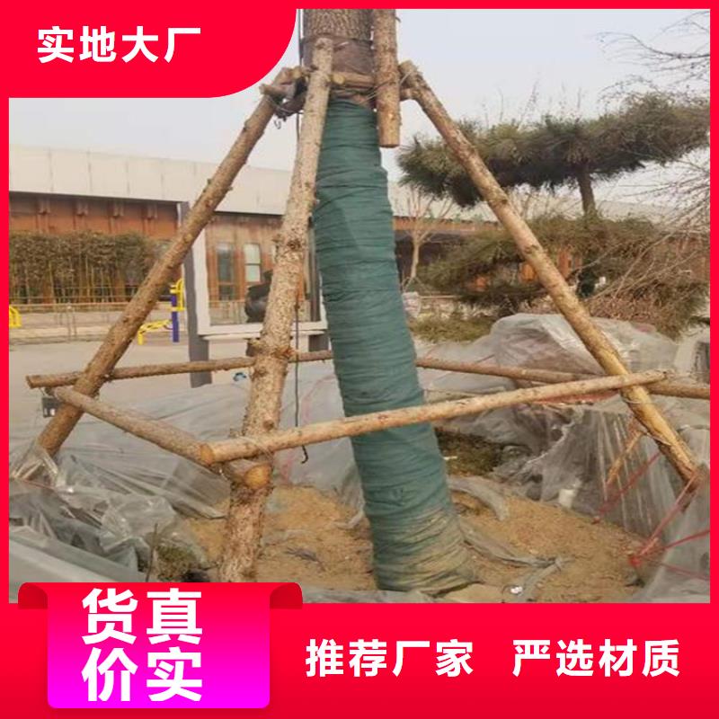 裹树布-HDPE土工膜买的是放心
