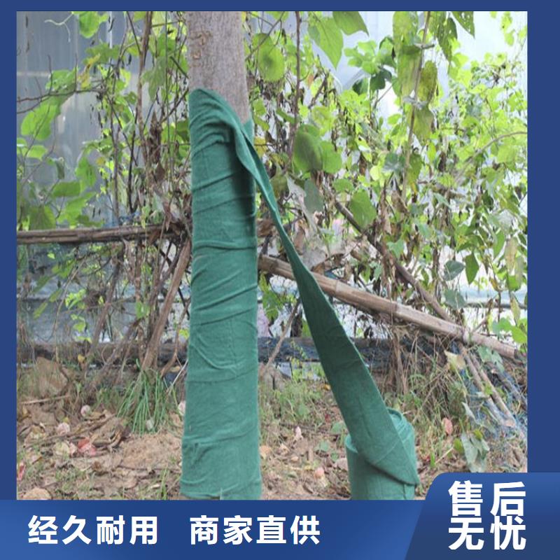 裹树布土工格栅厂家直营