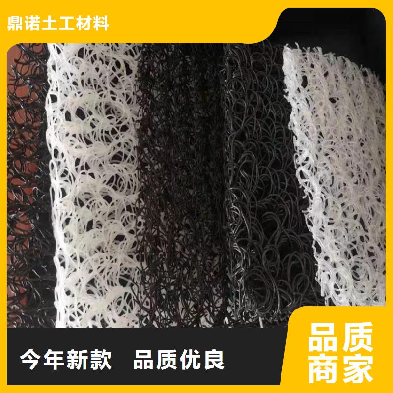 土工席垫双向土工格栅规格型号全