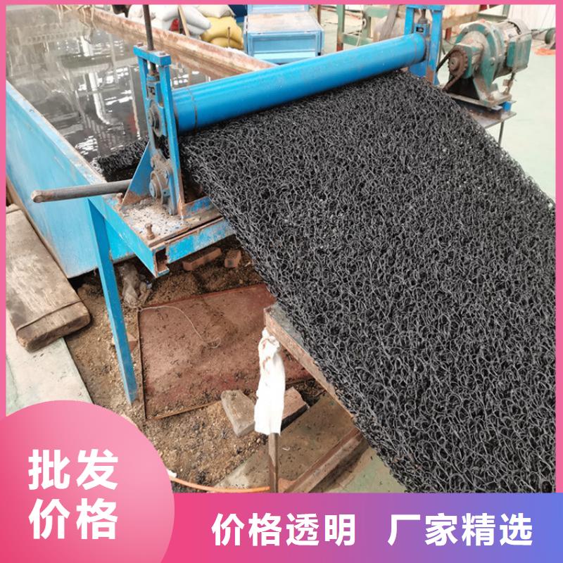 土工席垫双向土工格栅规格型号全