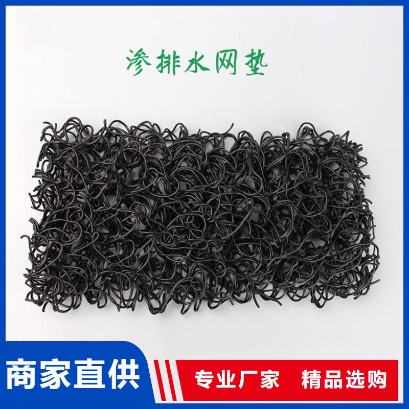 土工席垫双向土工格栅规格型号全