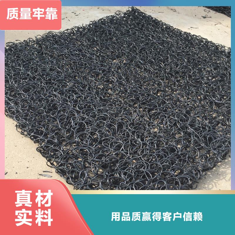 土工席垫双向土工格栅规格型号全