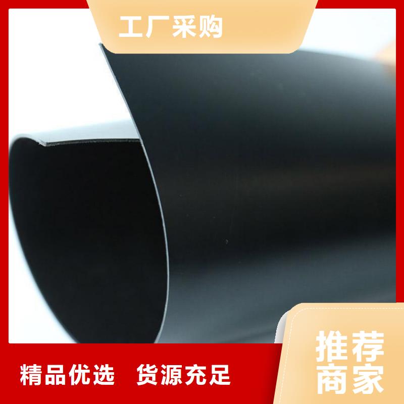双糙面土工膜可定做