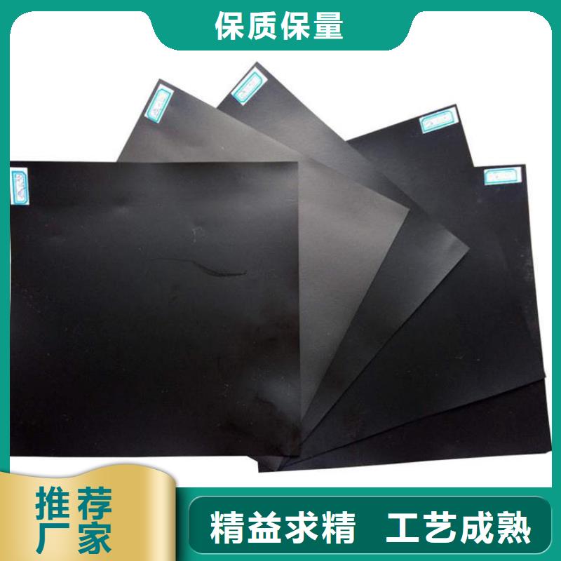 土工膜-1.0mm土工膜厂家-公司供应