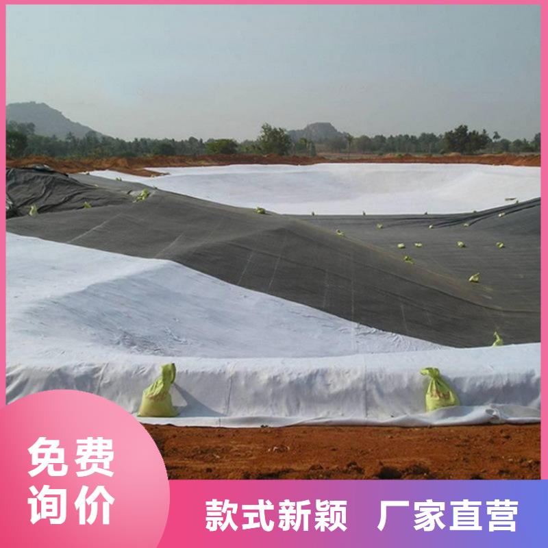 渠道防渗土工膜