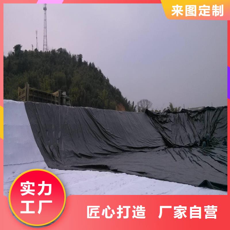 土工膜塑料土工格栅快速报价