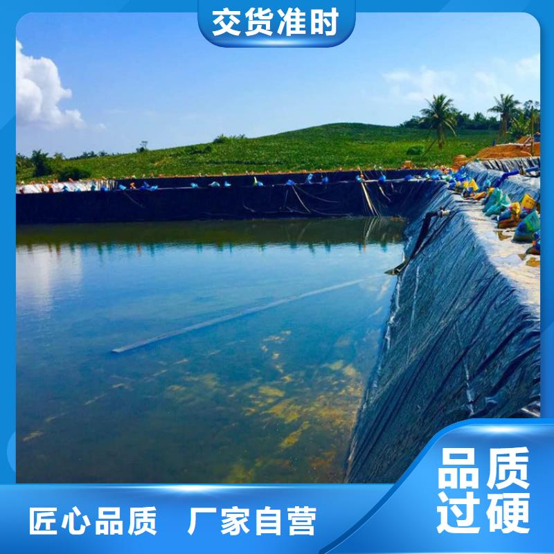 儋州市土工防渗膜