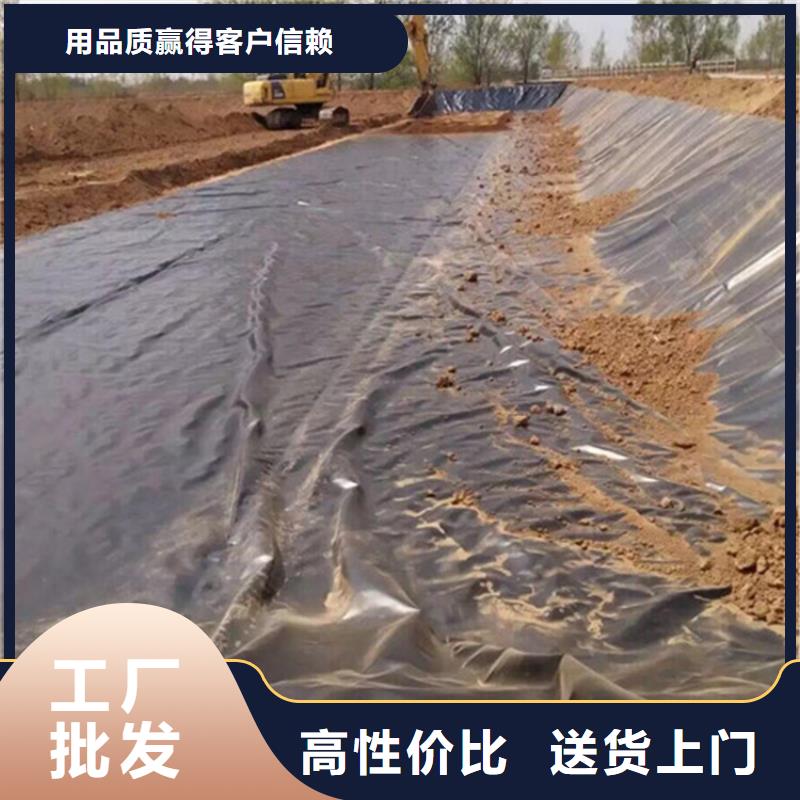 土工膜-1.0mm土工膜厂家-公司供应
