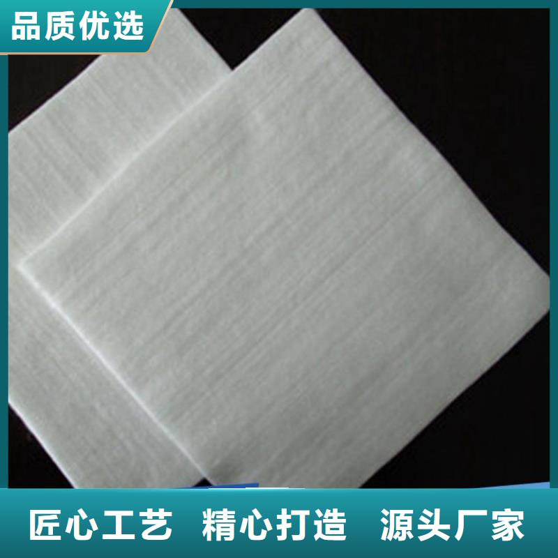 土工布_渗水防渗