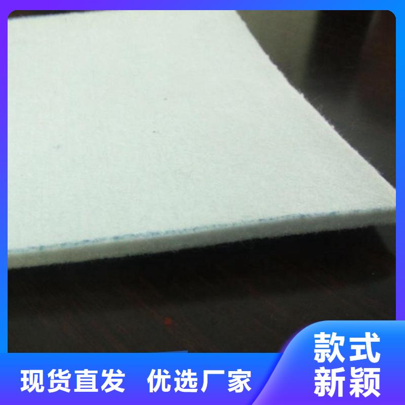 土工布玻纤格栅专注产品质量与服务