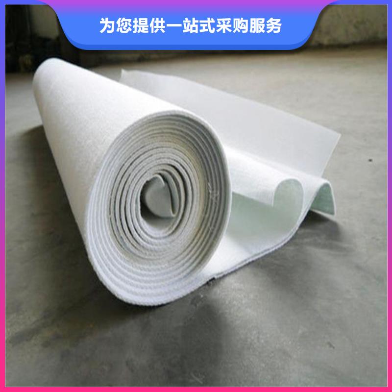 琼中县水稳养护土工布