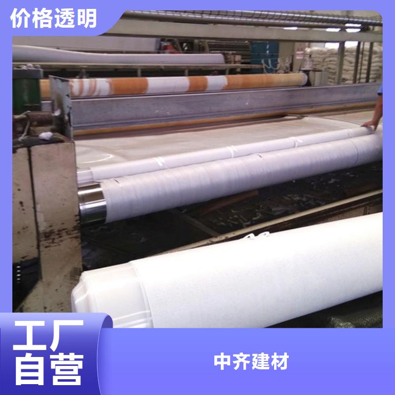 东方市土工布_养护土工布