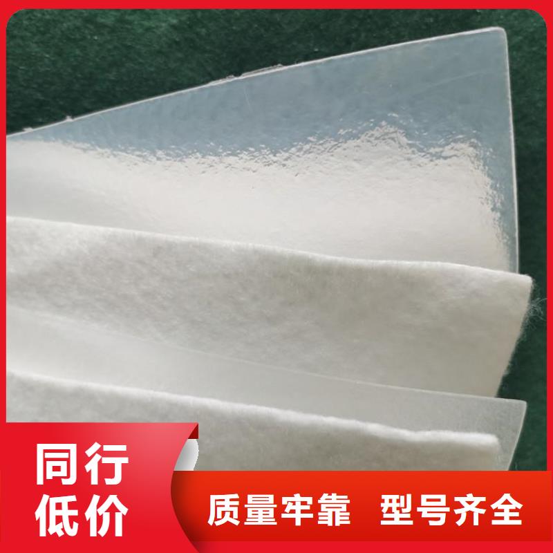 反滤透水土工布