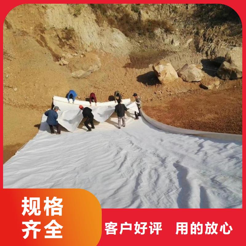 土工布无纺布供应商