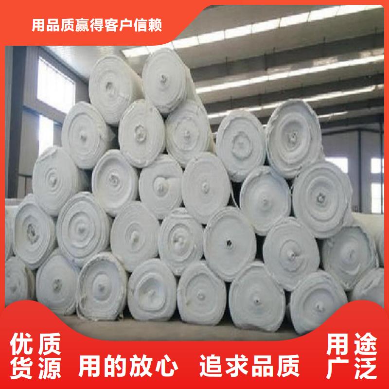 反滤透水土工布