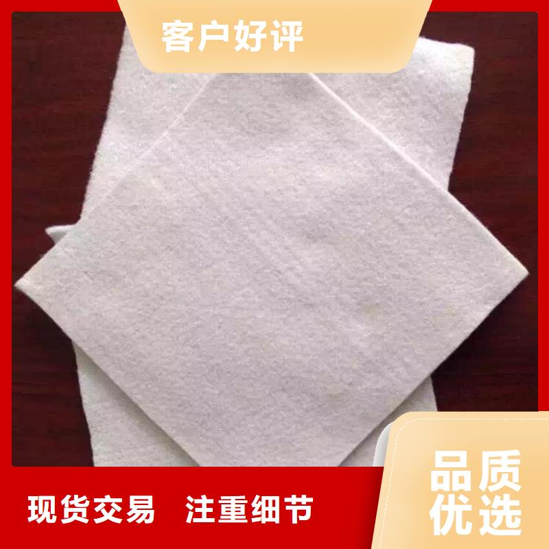 防渗土工布