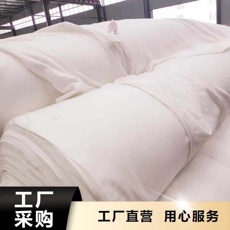 长丝烧毛土工布_近期行情