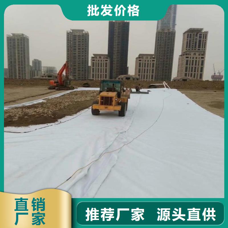 反滤透水土工布