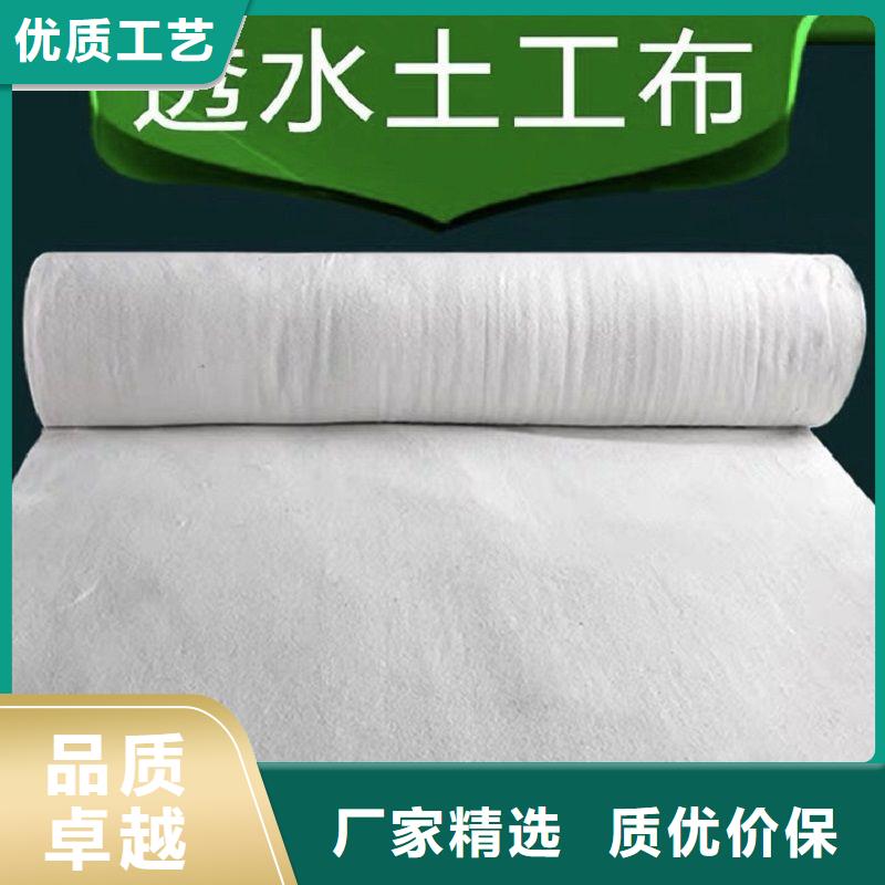 短纤针刺滤水土工布