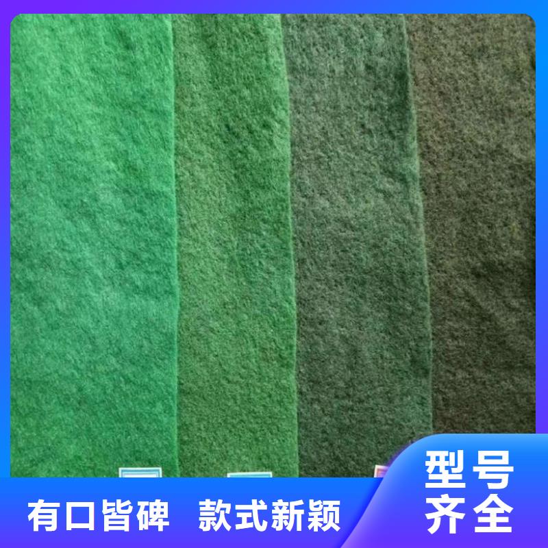 透水土工布