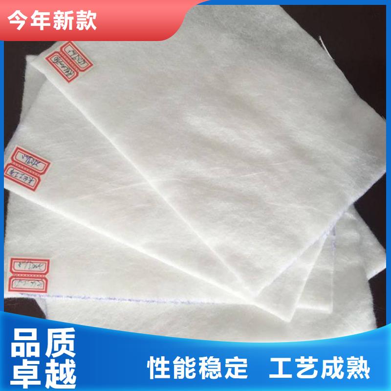 防渗土工布