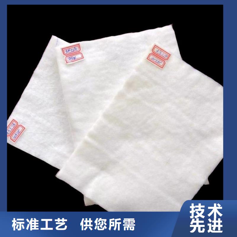 防渗土工布