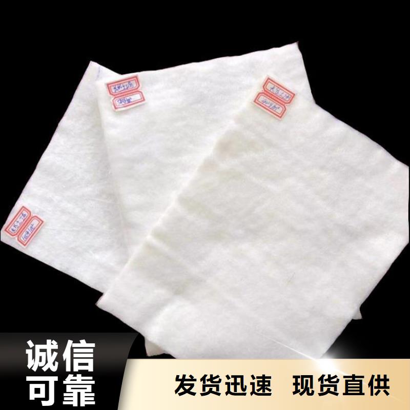 丙纶长丝土工布