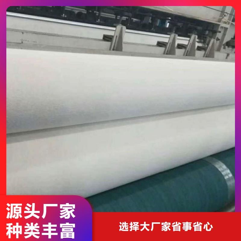 防渗土工布