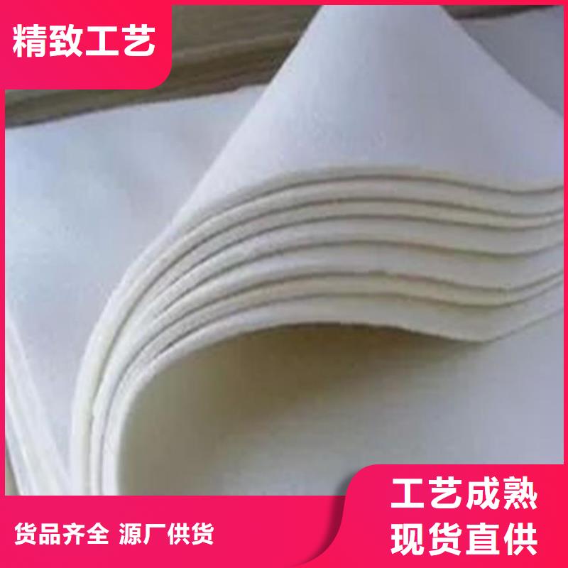 反滤透水土工布