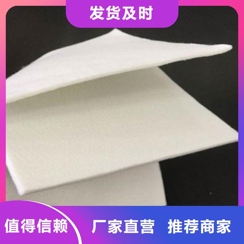 反滤透水土工布