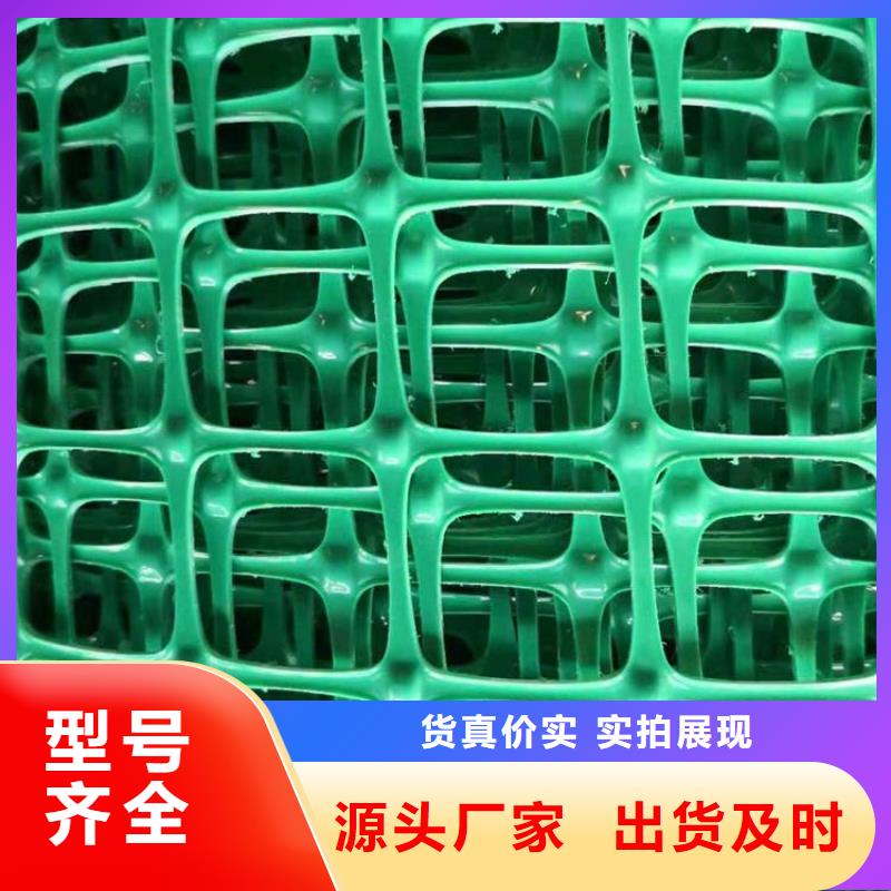 玻璃纤维土工格栅-凸点土工格栅