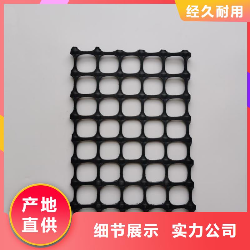 玻璃纤维格栅-小网孔土工格栅-PE土工格栅