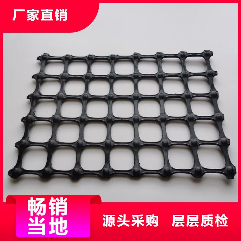 单向土工格栅