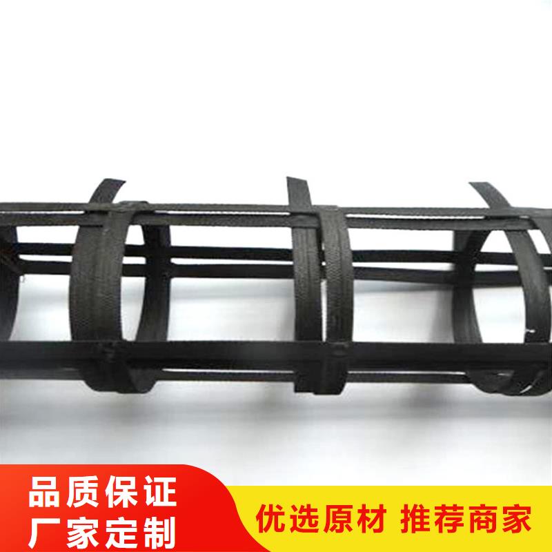 玻纤土工格栅-养殖土工格栅