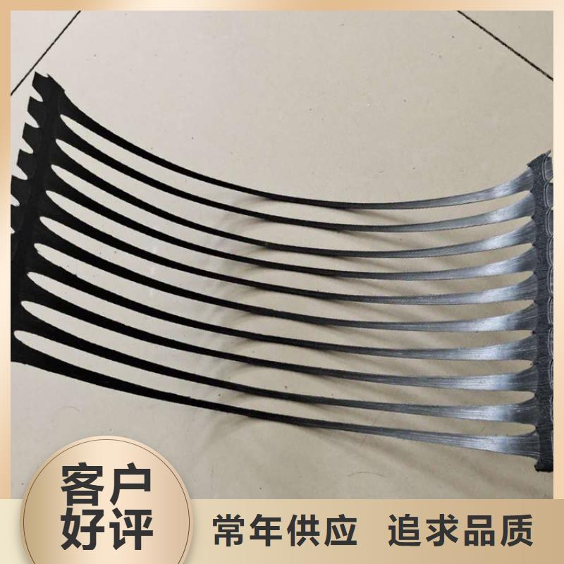 钢塑复合土工格栅