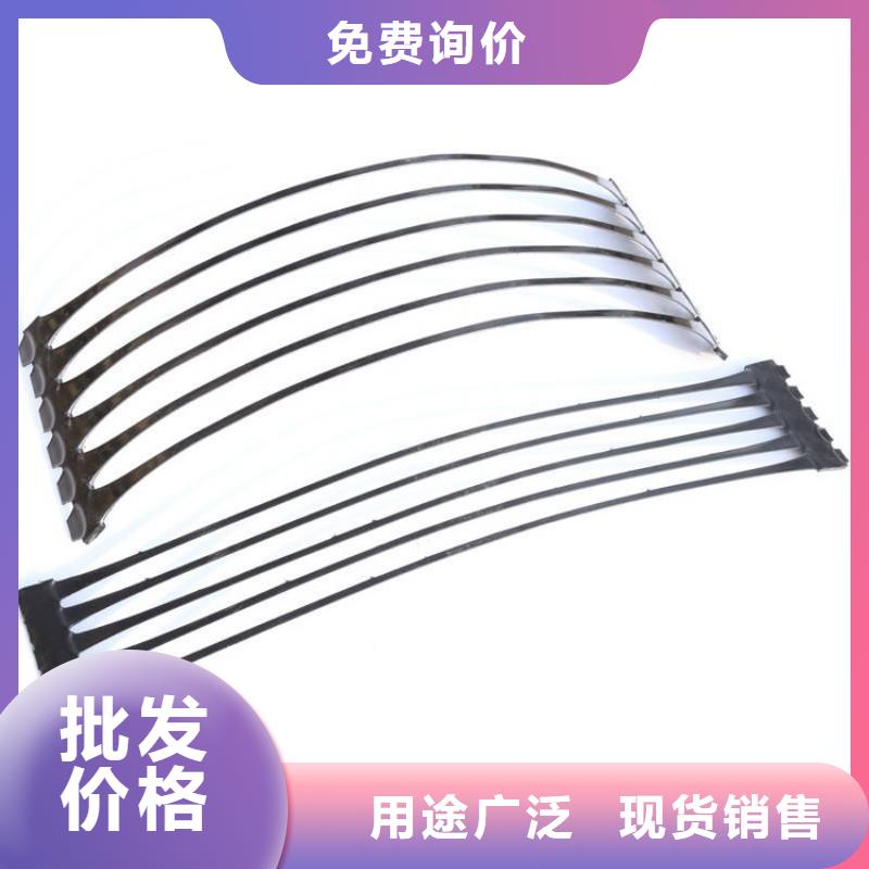 钢塑复合土工格栅