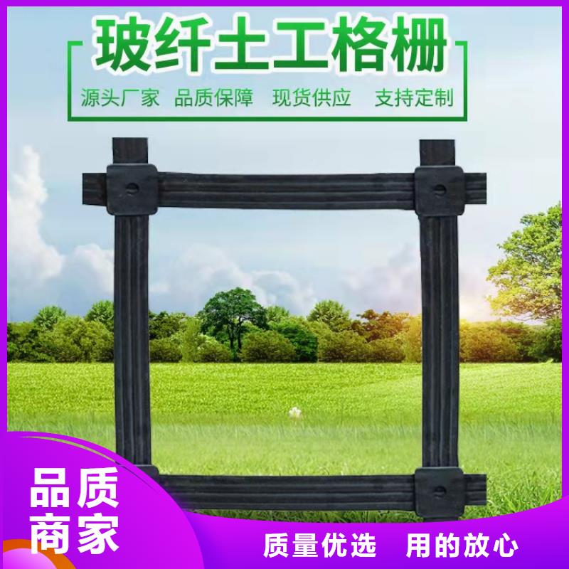 昌江县玻纤土工格栅-养殖土工格栅-聚丙烯土工格栅