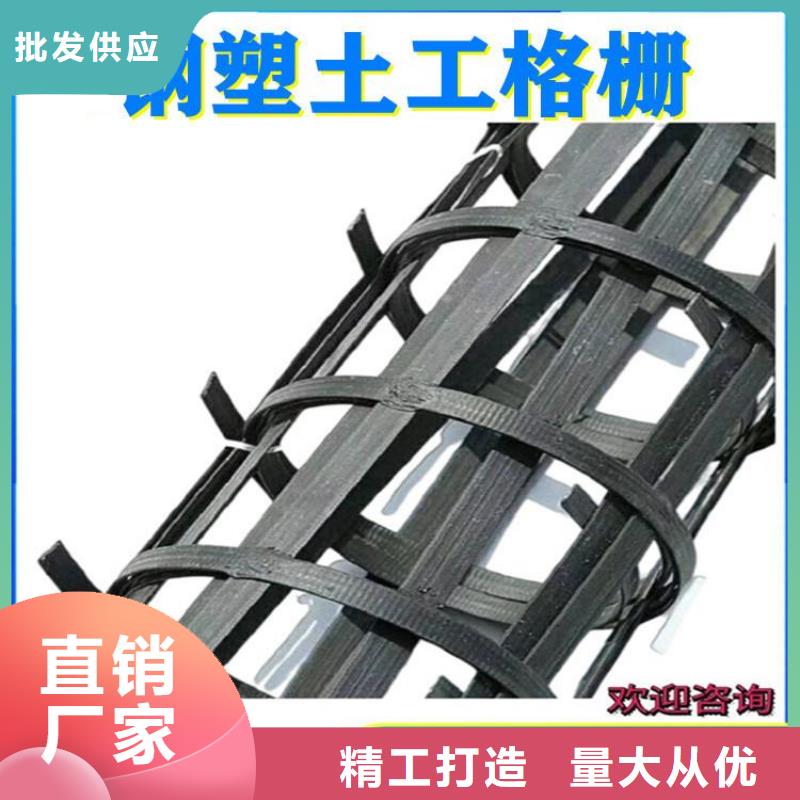 单向土工格栅-TGSG双向塑料土工格栅-30kn50kn土工格栅