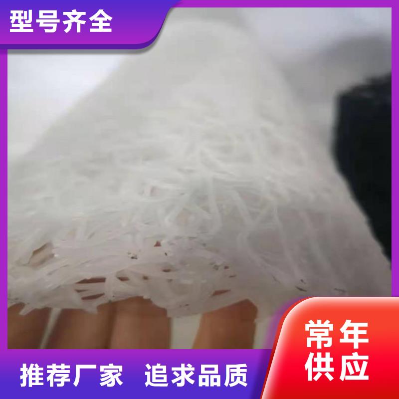 塑料盲沟网格布现货齐全售后无忧