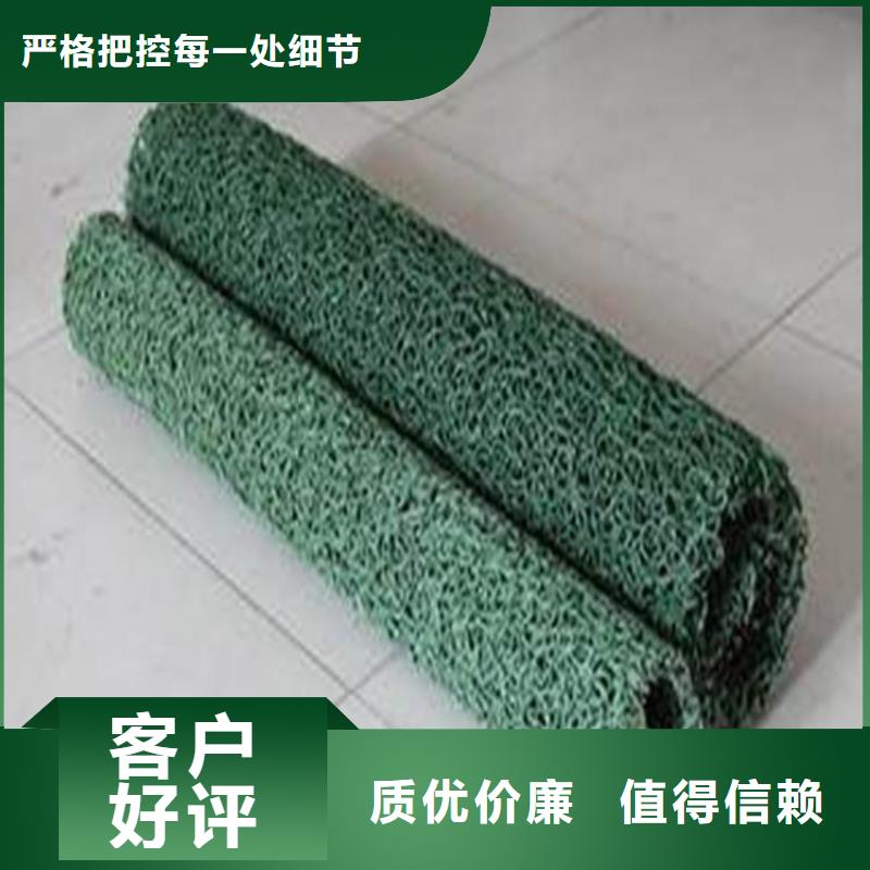 塑料盲沟网格布现货齐全售后无忧